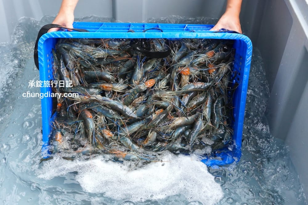 就是愛海鮮｜彰化花壇海鮮肉品市集｜全面升級冷氣開放！活體泰國蝦、鮭魚生魚片、中秋烤肉串燒宅配組合。