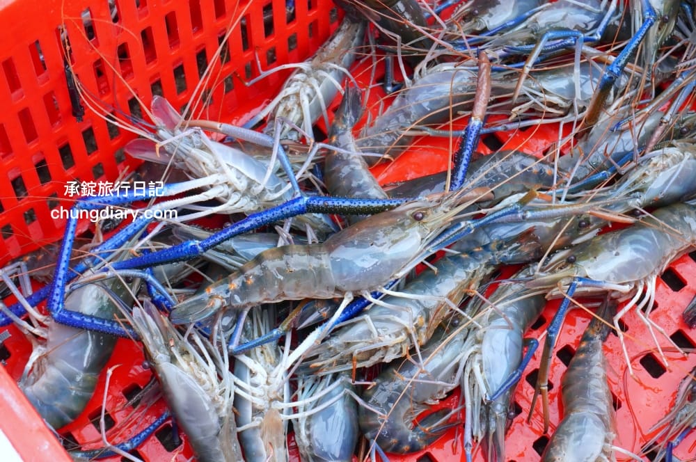 就是愛海鮮｜彰化花壇海鮮肉品市集｜全面升級冷氣開放！活體泰國蝦、鮭魚生魚片、中秋烤肉串燒宅配組合。