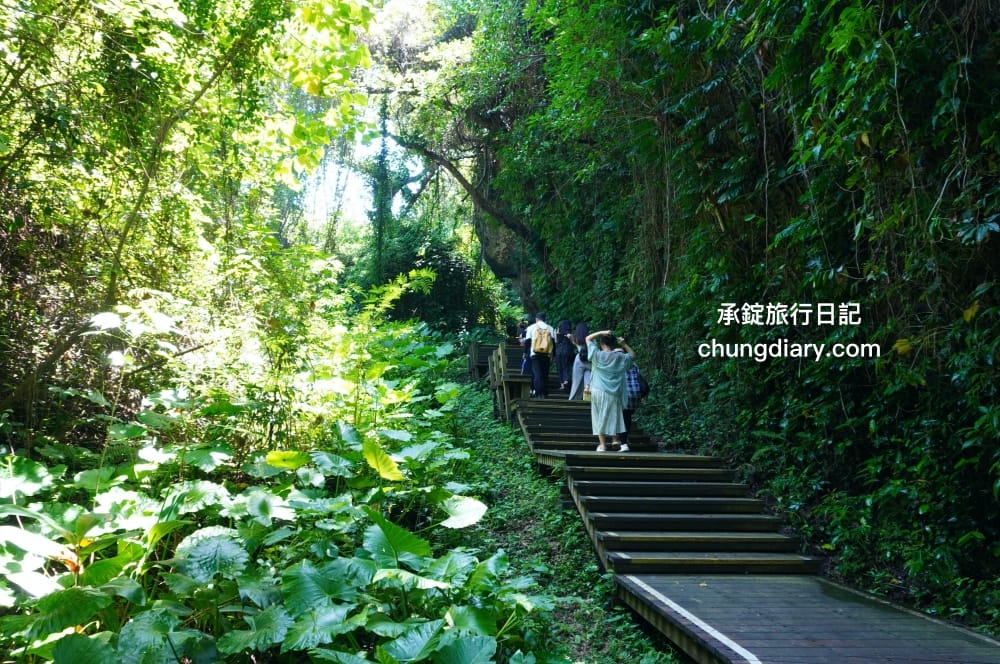 屏東x小琉球兩天一夜！入住緩慢大鵬灣民宿、山川琉璃吊橋、東港王船文化、美人洞、山豬溝、烏鬼洞｜雄獅國內旅遊行程