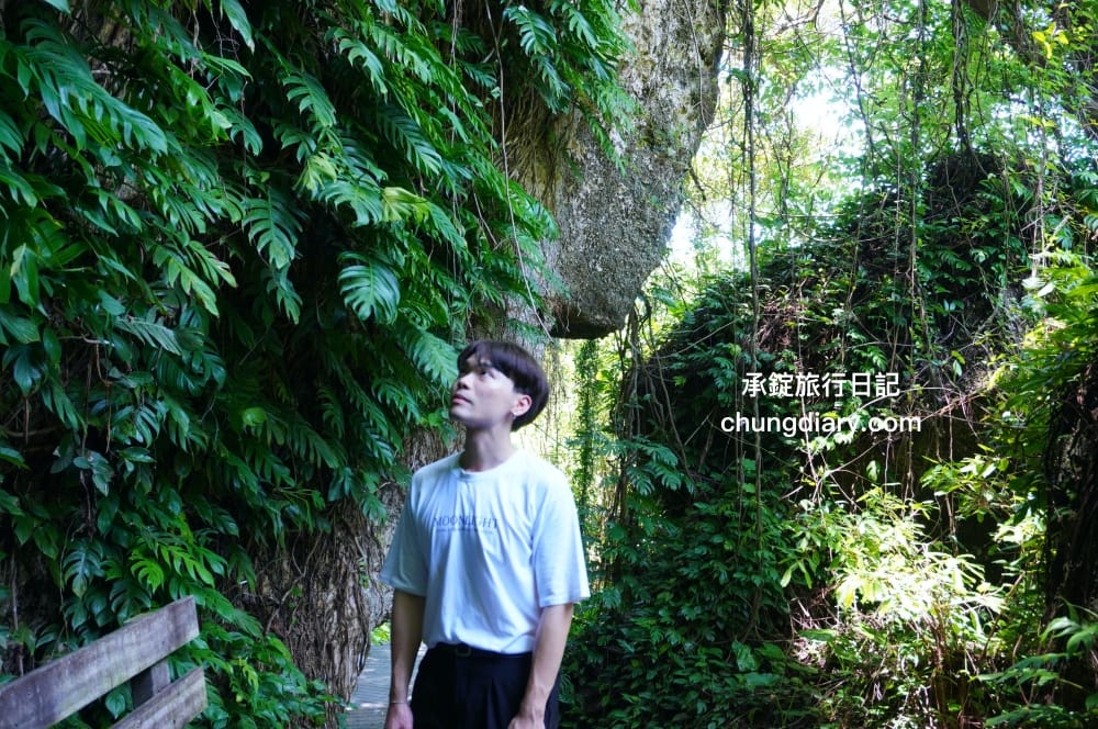 屏東x小琉球兩天一夜！入住緩慢大鵬灣民宿、山川琉璃吊橋、東港王船文化、美人洞、山豬溝、烏鬼洞｜雄獅國內旅遊行程