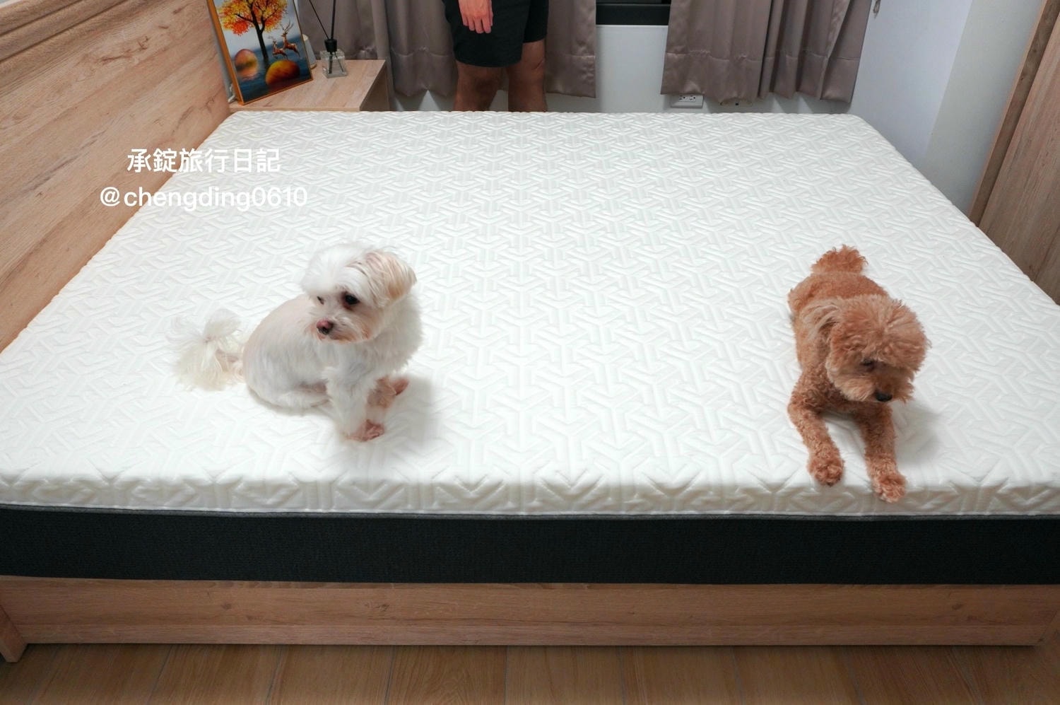 o’rest 歐瑞思 wav230床墊|太空記憶床|台灣製造|10年保固|100天滿意試睡! - 第3張圖 o’rest 歐瑞思 wav230床墊|太空記憶床|台灣製造|10年保固|100天滿意試睡!