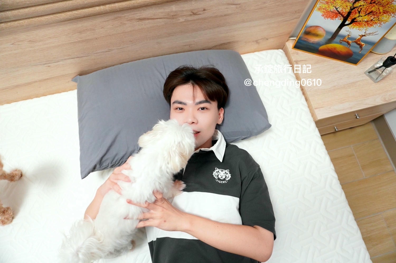 o’rest 歐瑞思 wav230床墊|太空記憶床|台灣製造|10年保固|100天滿意試睡! - 第19張圖 o’rest 歐瑞思 wav230床墊|太空記憶床|台灣製造|10年保固|100天滿意試睡!