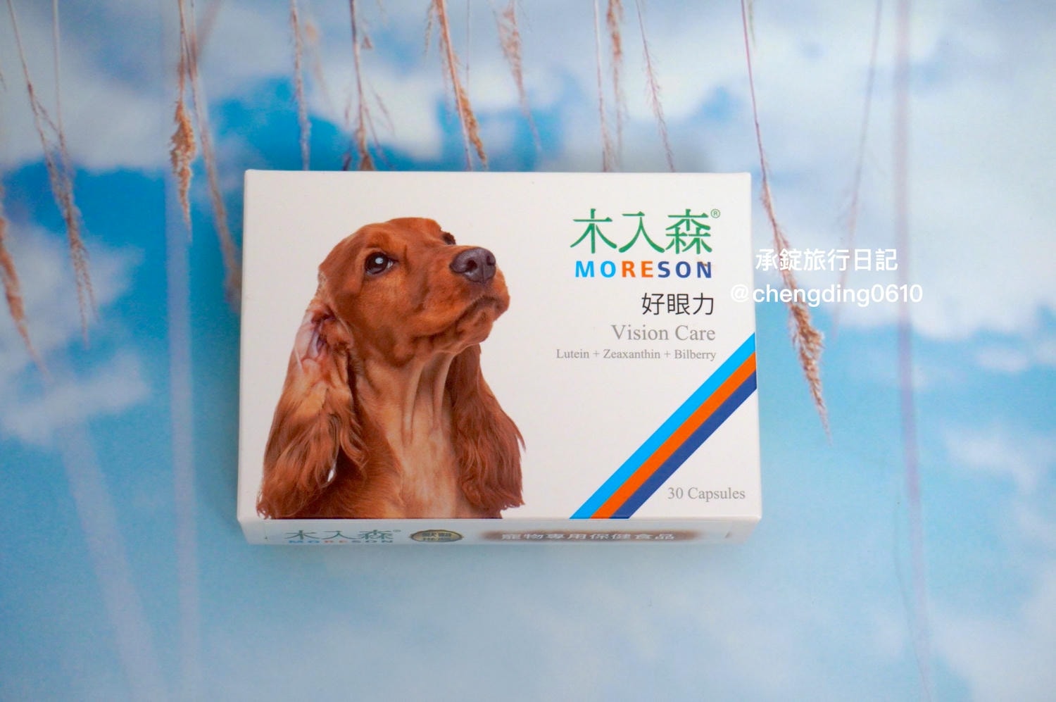 2025最新三款寵物葉黃素推薦開箱實測｜犬貓保健品該怎麼選？貓貓狗狗眼睛保健的重要性！