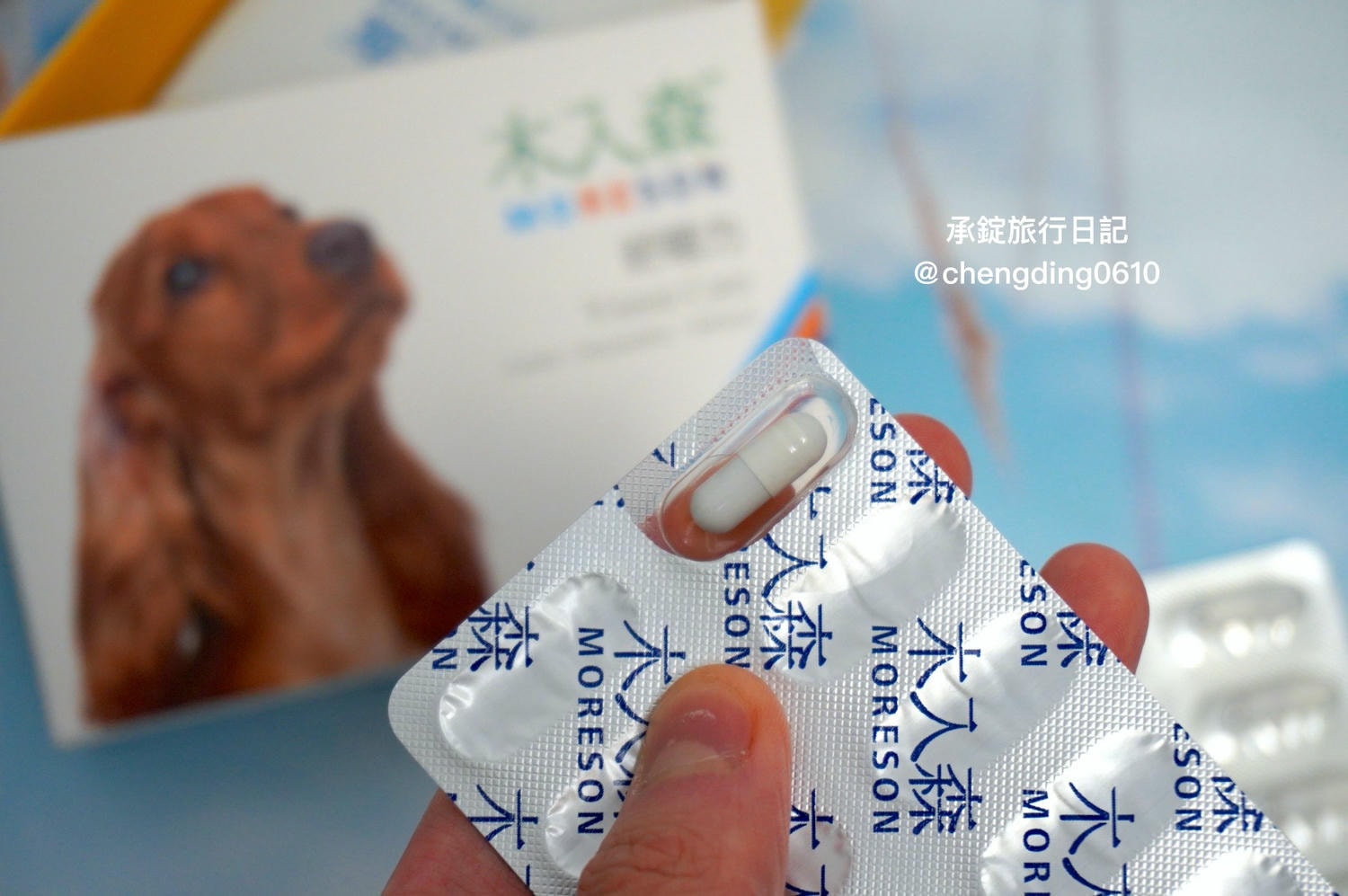 2025最新三款寵物葉黃素推薦開箱實測｜犬貓保健品該怎麼選？貓貓狗狗眼睛保健的重要性！