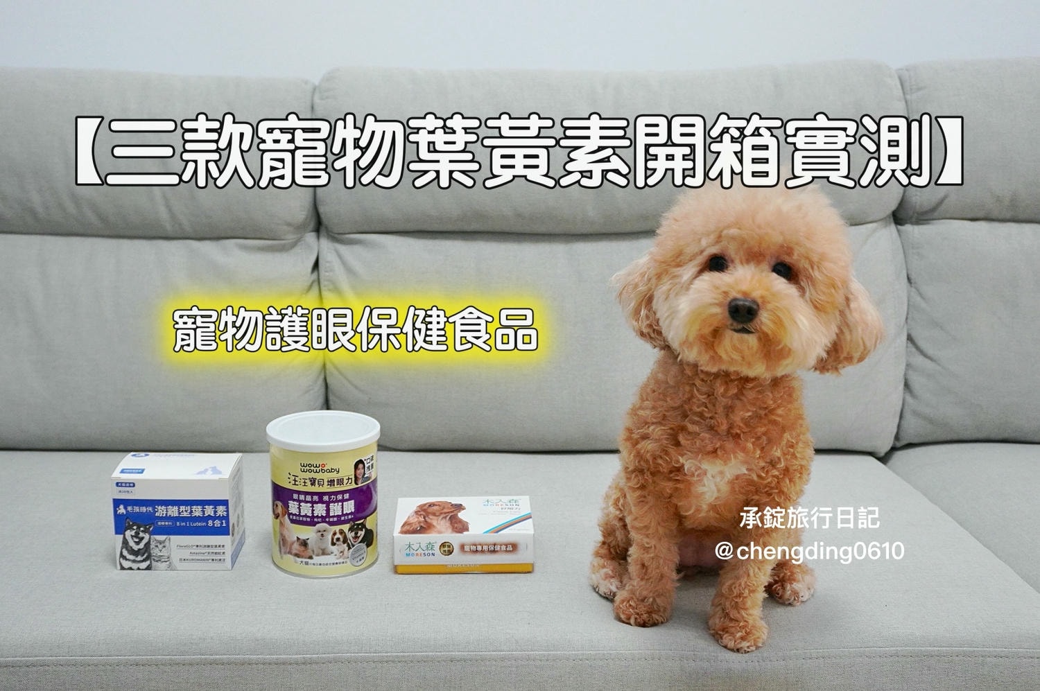 2025最新三款寵物葉黃素推薦開箱實測｜犬貓保健品該怎麼選？貓貓狗狗眼睛保健的重要性！