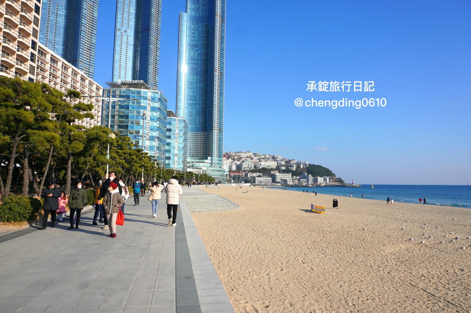 韓國冬天這樣玩！釜山海雲台海水浴場｜海鷗｜沙灘｜看著大海吃草莓