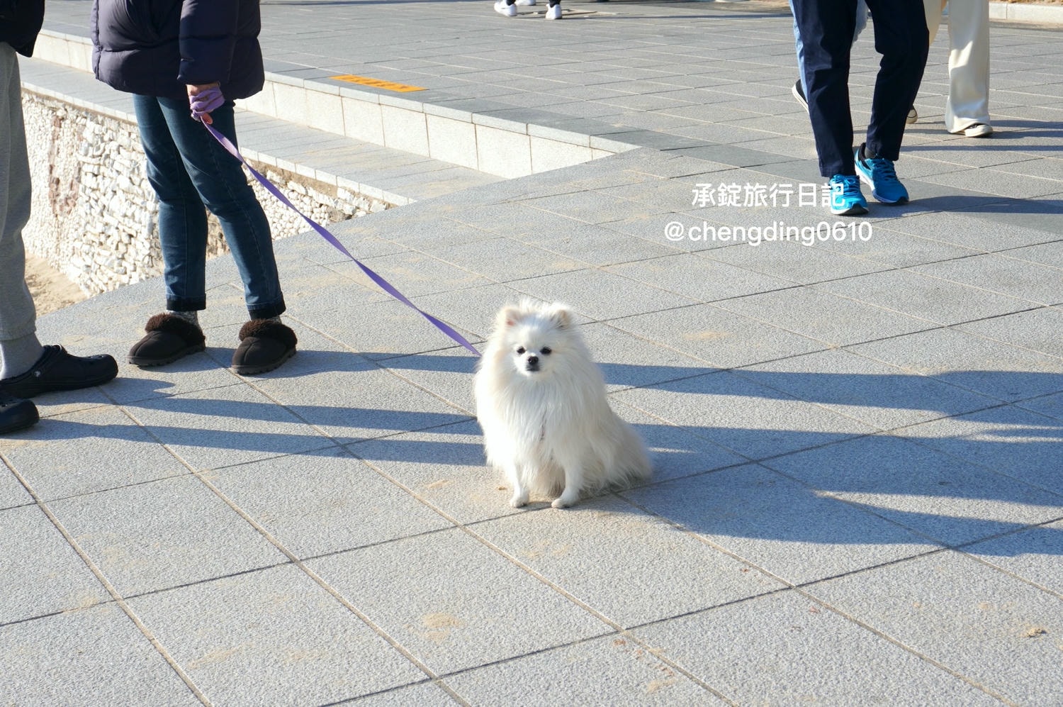 韓國冬天這樣玩！釜山海雲台海水浴場｜海鷗｜沙灘｜看著大海吃草莓