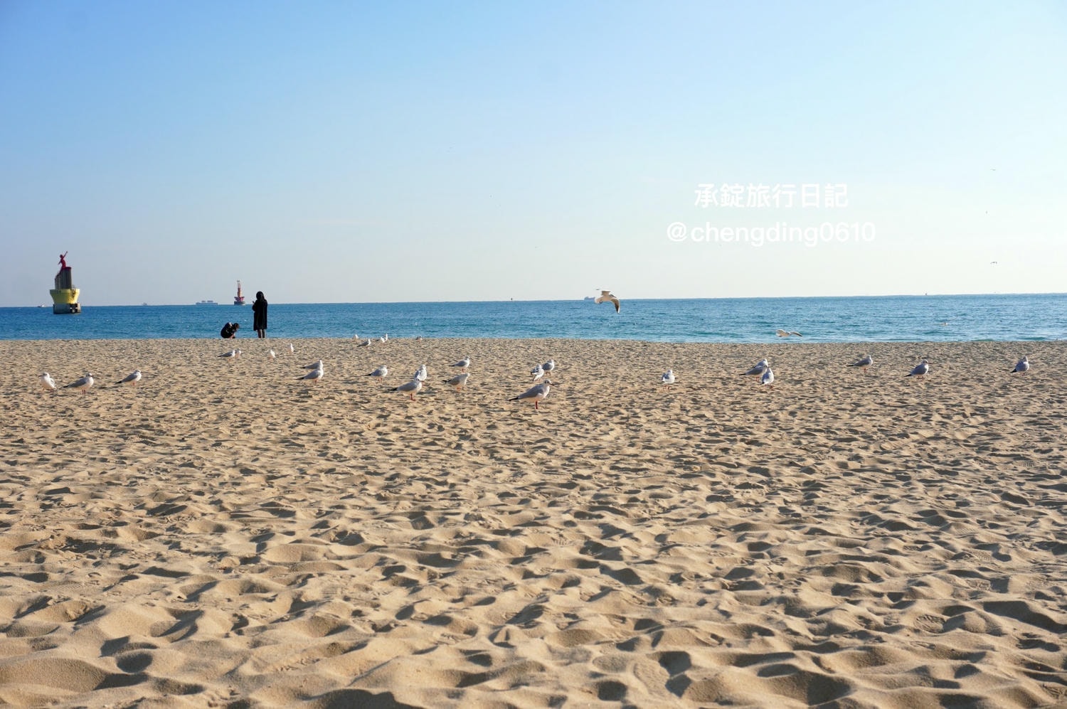 韓國冬天這樣玩！釜山海雲台海水浴場｜海鷗｜沙灘｜看著大海吃草莓
