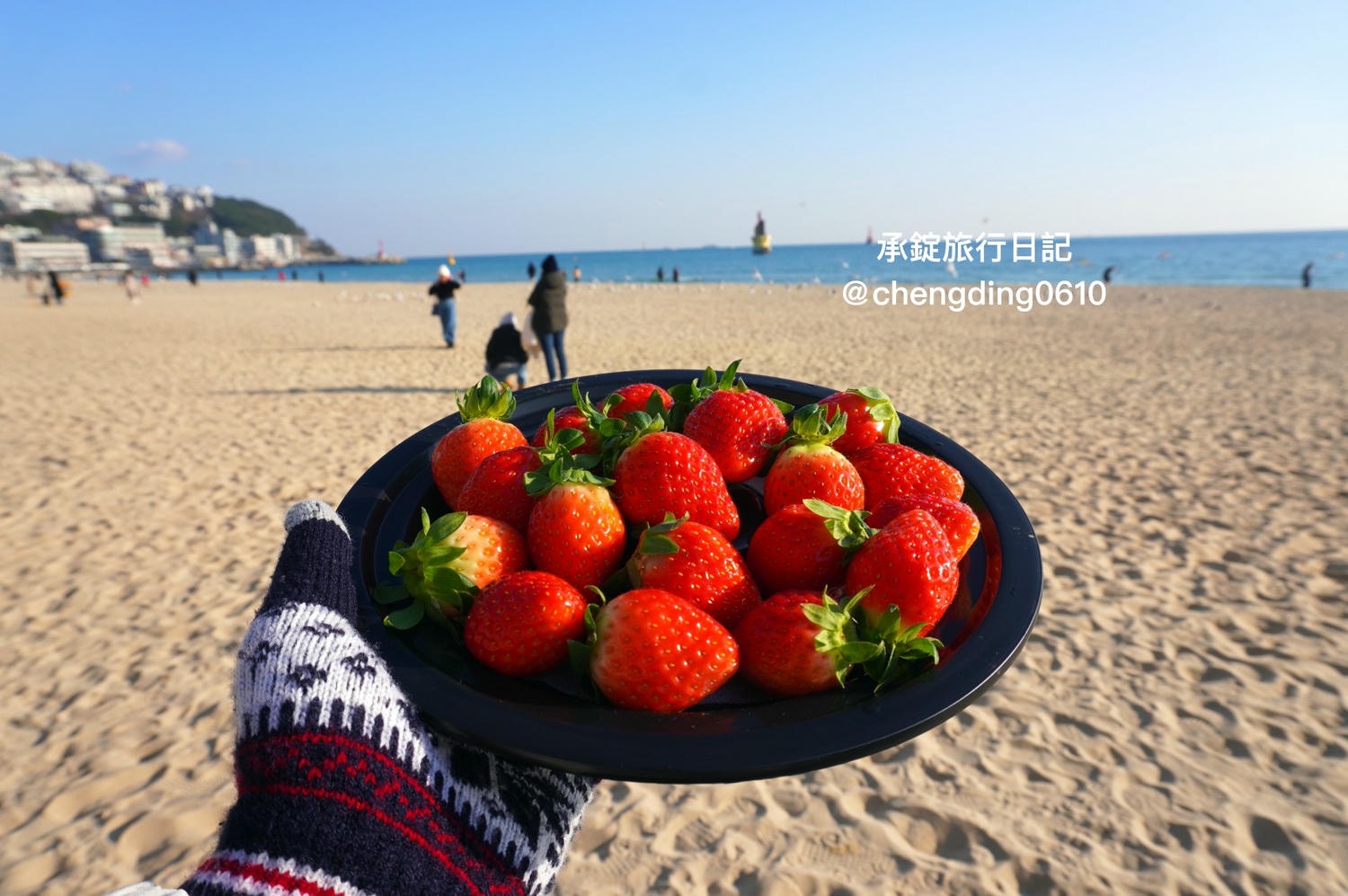 韓國冬天這樣玩！釜山海雲台海水浴場｜海鷗｜沙灘｜看著大海吃草莓