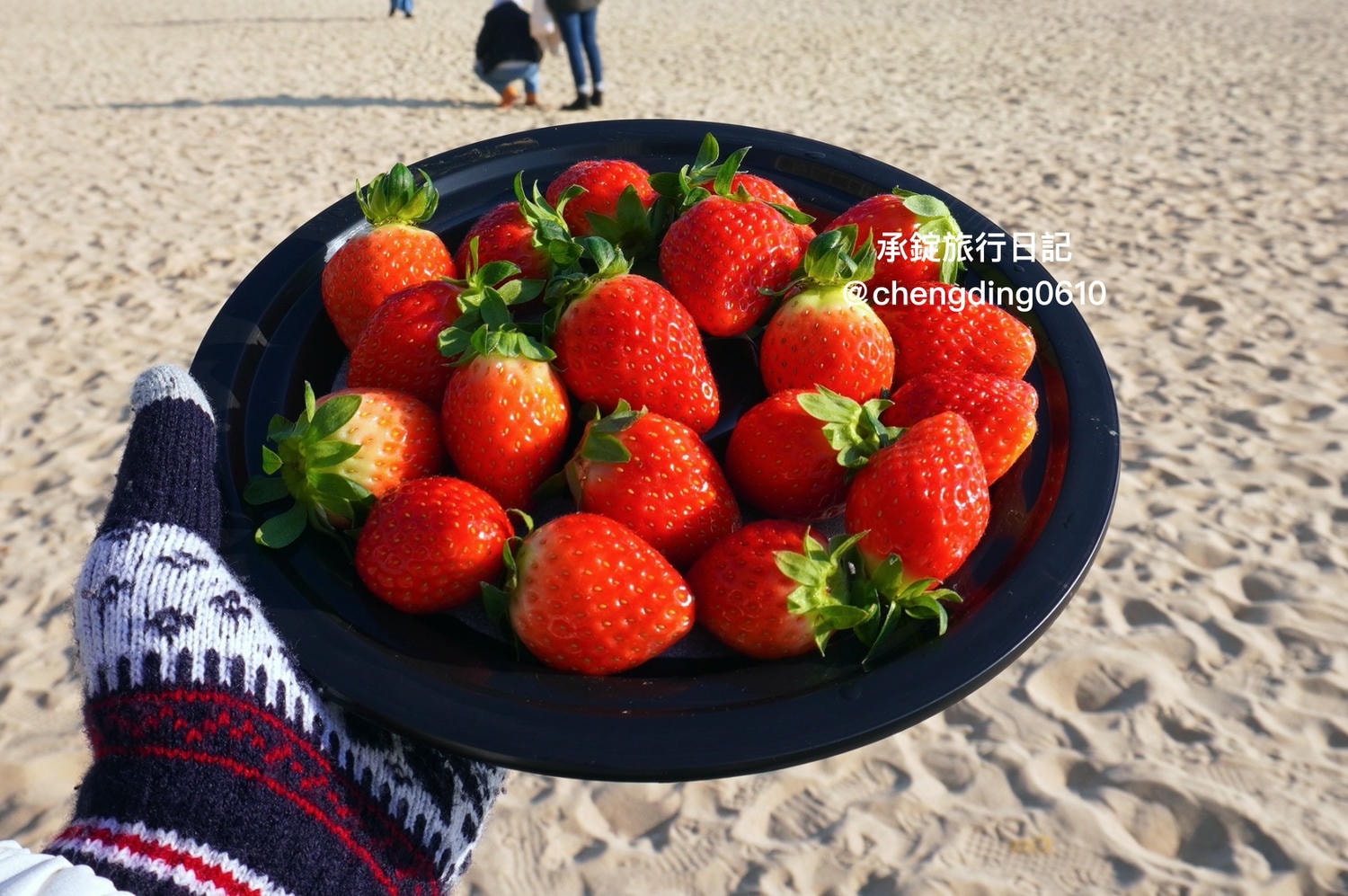 韓國冬天這樣玩！釜山海雲台海水浴場｜海鷗｜沙灘｜看著大海吃草莓