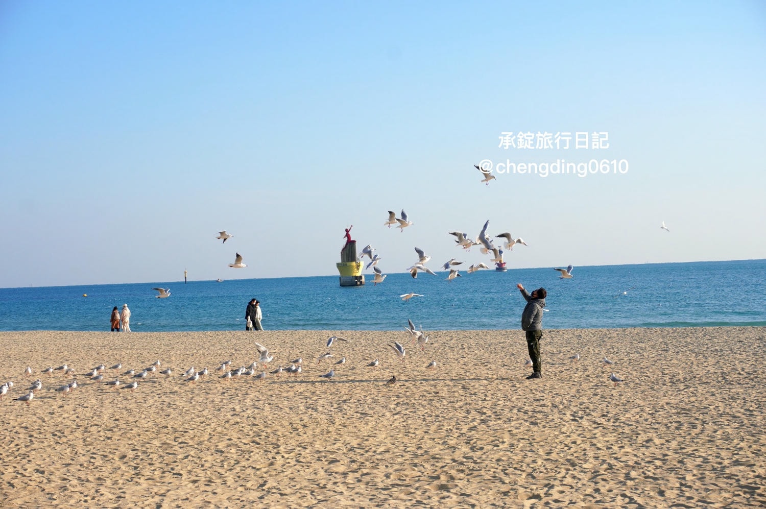 韓國冬天這樣玩！釜山海雲台海水浴場｜海鷗｜沙灘｜看著大海吃草莓
