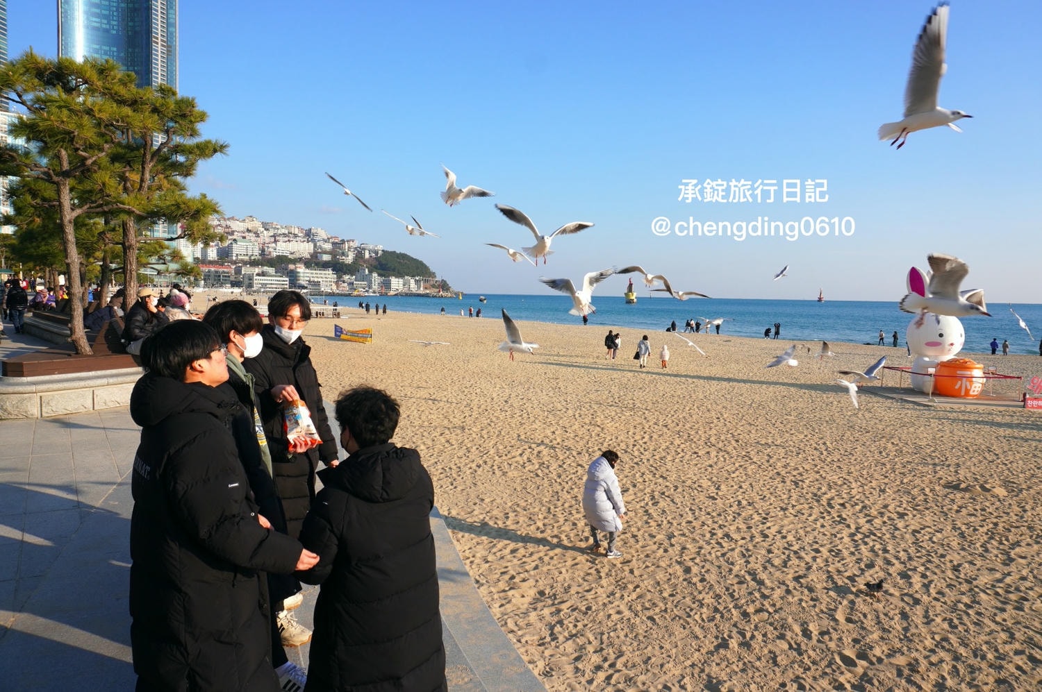 韓國冬天這樣玩！釜山海雲台海水浴場｜海鷗｜沙灘｜看著大海吃草莓