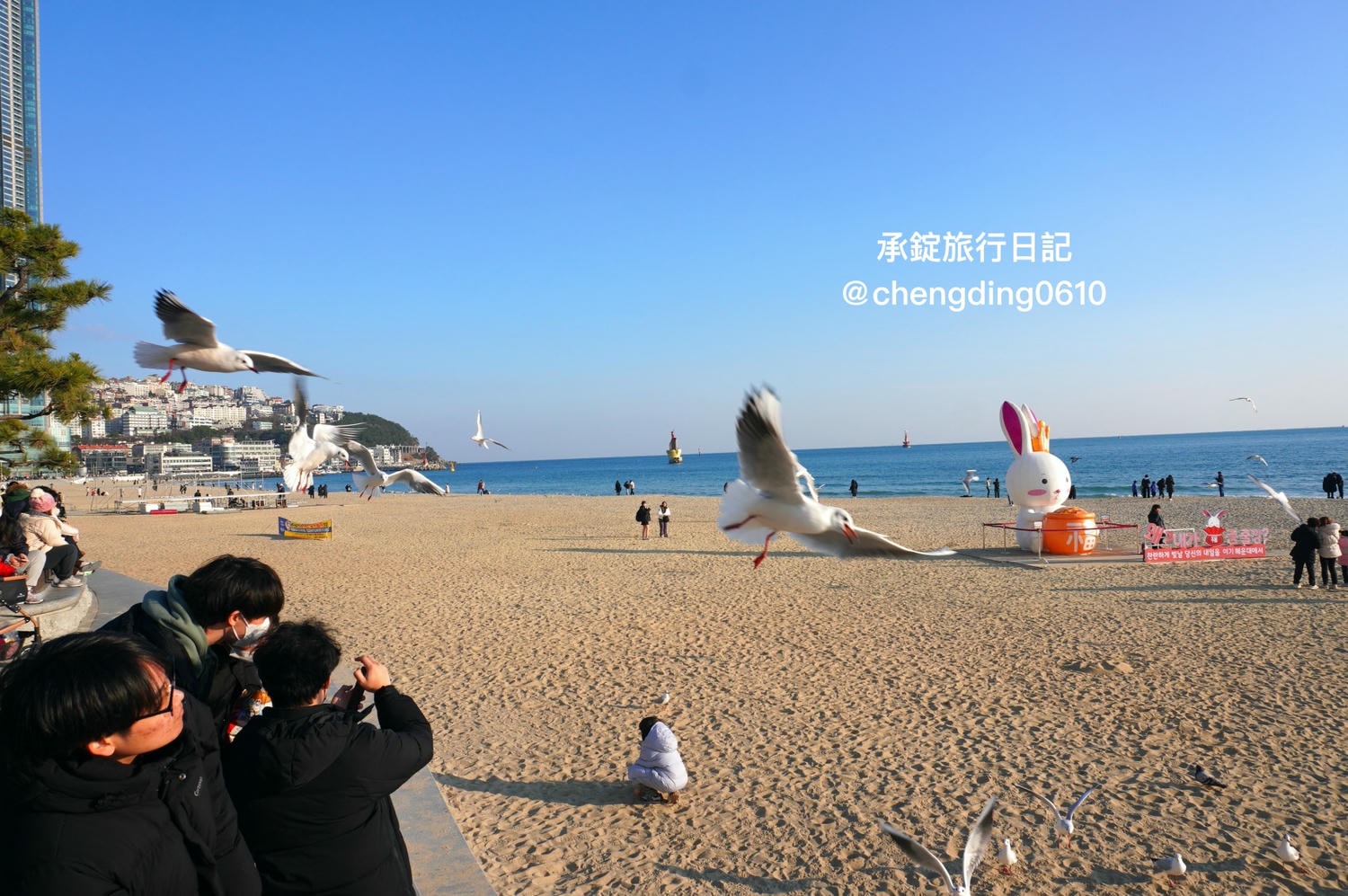 韓國冬天這樣玩！釜山海雲台海水浴場｜海鷗｜沙灘｜看著大海吃草莓