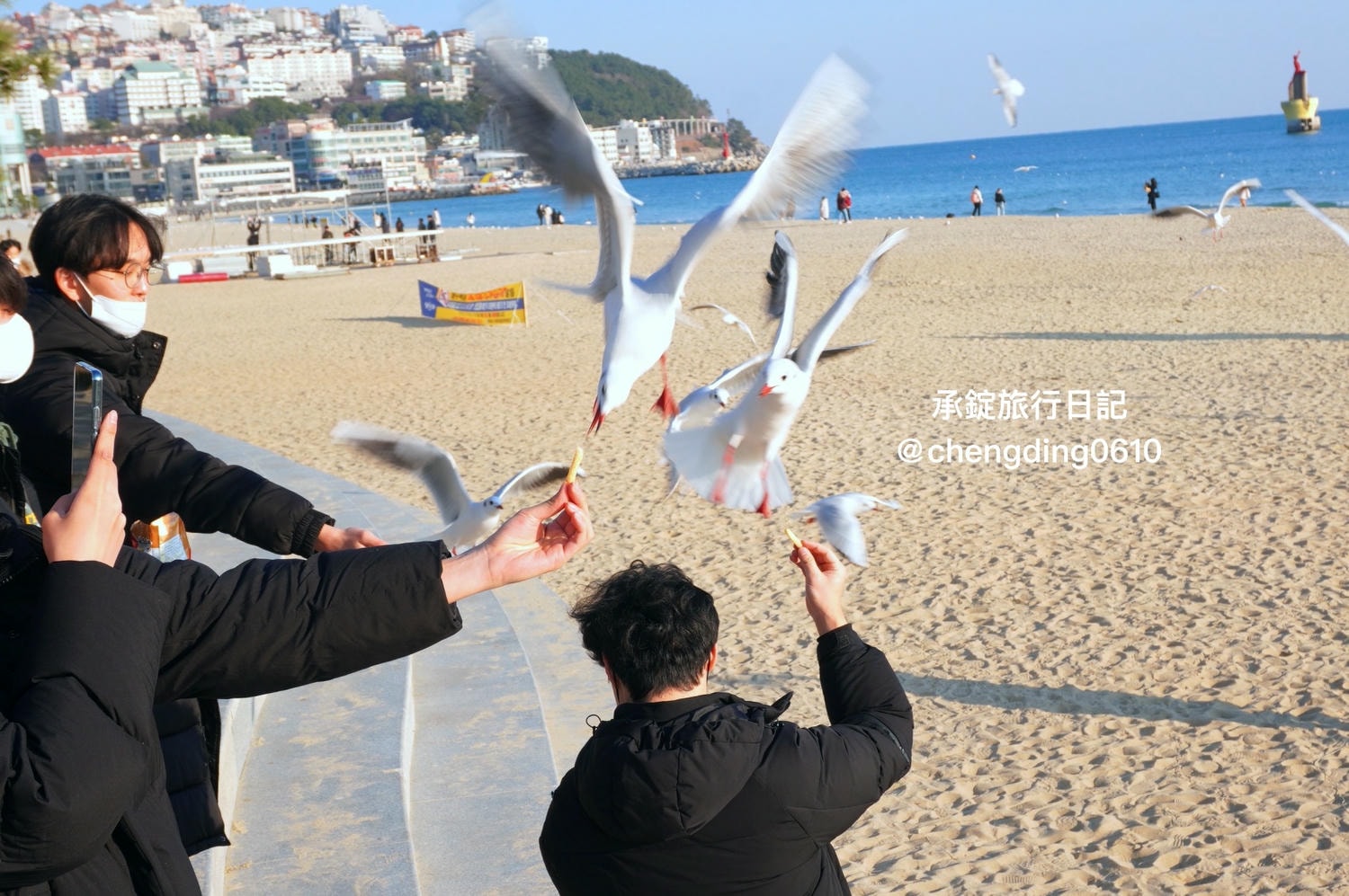韓國冬天這樣玩！釜山海雲台海水浴場｜海鷗｜沙灘｜看著大海吃草莓