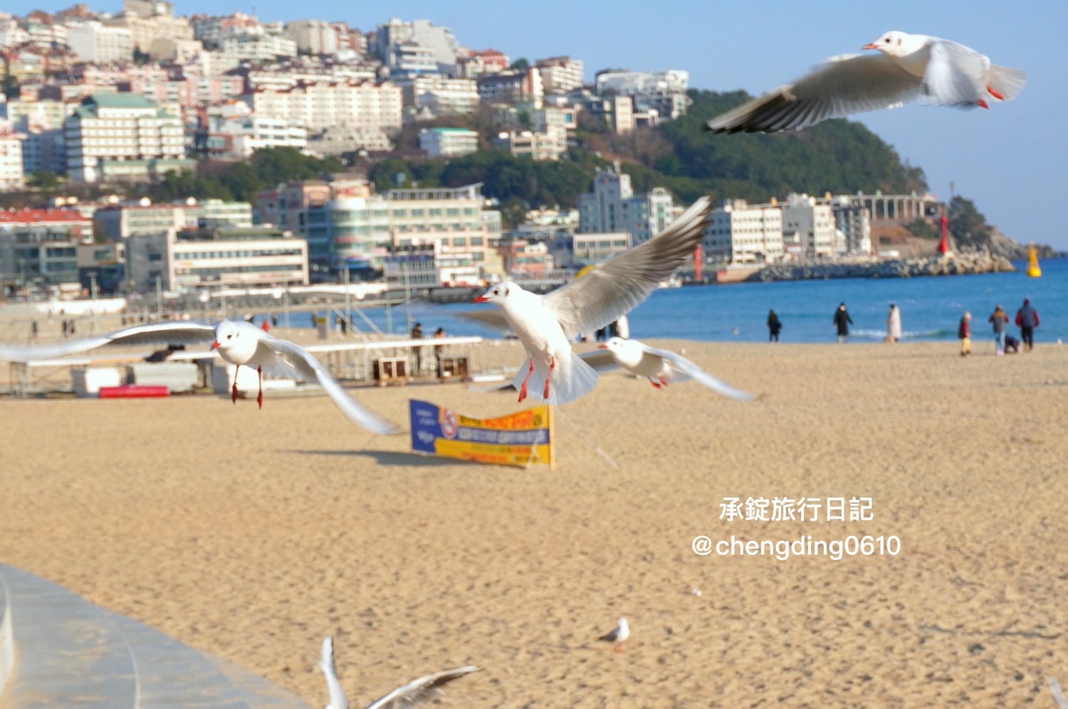 韓國冬天這樣玩！釜山海雲台海水浴場｜海鷗｜沙灘｜看著大海吃草莓