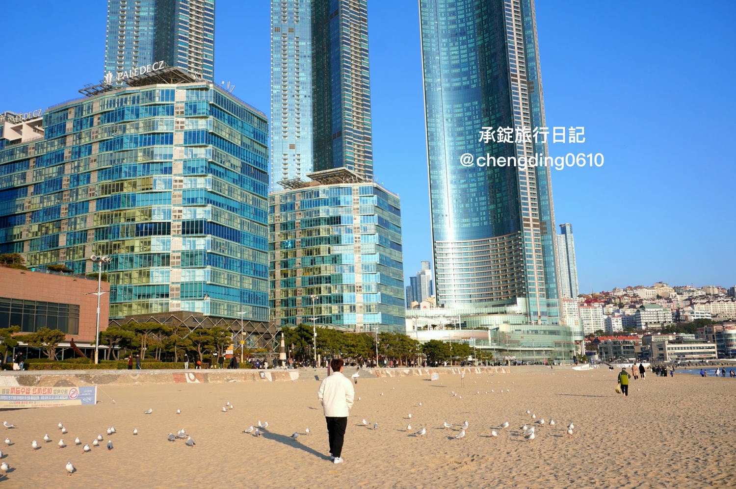 韓國冬天這樣玩！釜山海雲台海水浴場｜海鷗｜沙灘｜看著大海吃草莓
