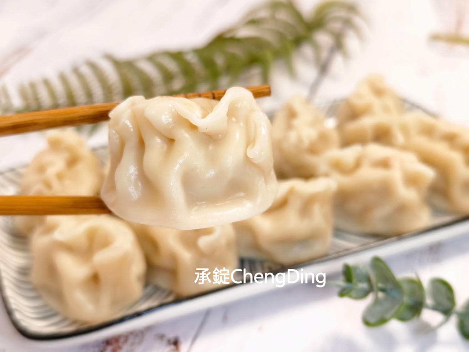 【宅配冷凍水餃推薦】鄭好高麗菜豬肉水餃｜28克大顆水餃，獨立盒裝冰箱必囤款