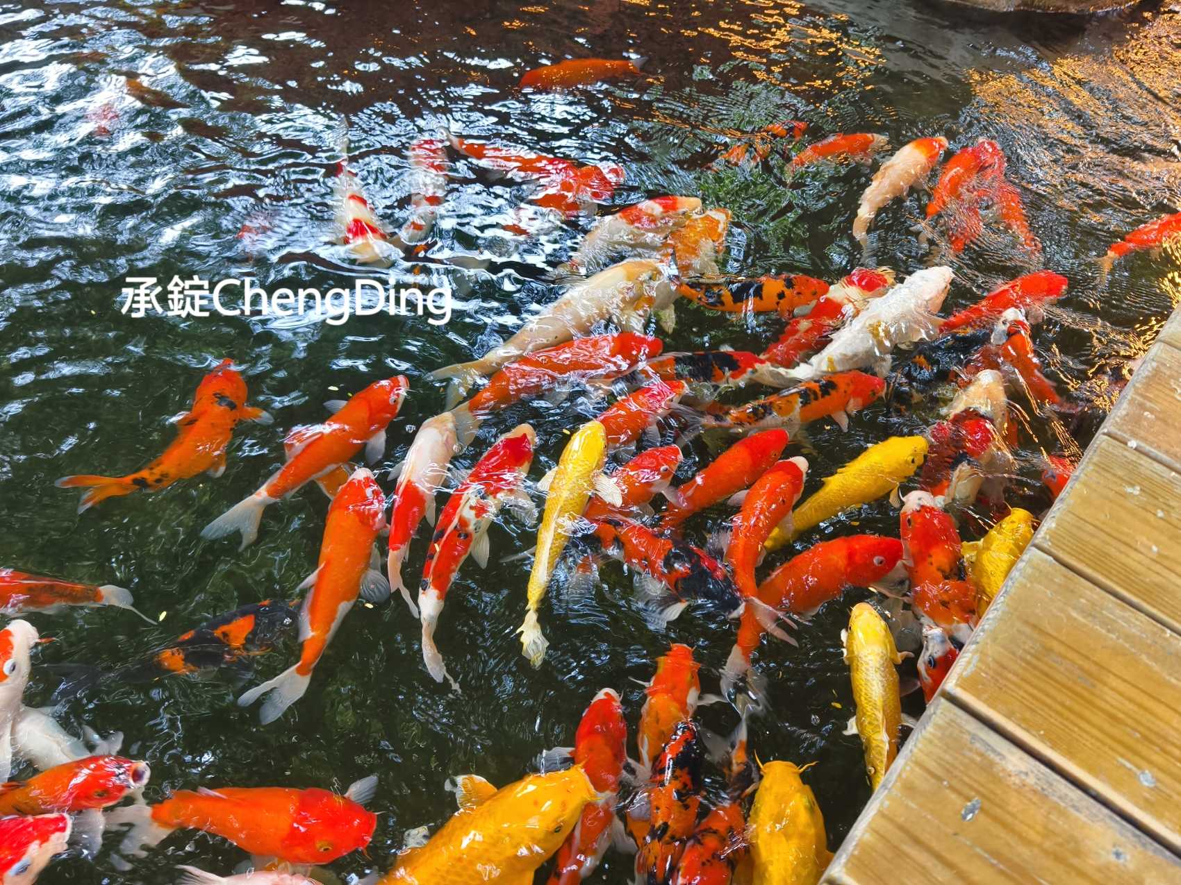 雲林虎尾美食【虎珍堂森之院】地瓜豆腐冰、60公分虎尾巴必吃！高鐵站/交流道3分鐘，網美拍照打卡、地瓜甜點伴手禮推薦！