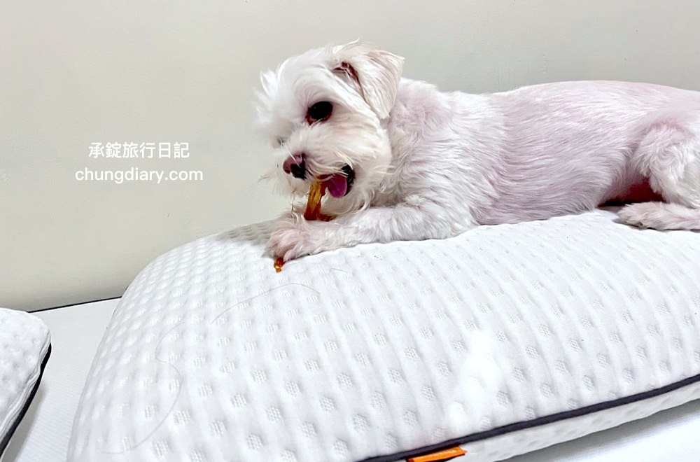 Emma床墊評價｜德國歐洲床墊品牌，100天免費試睡、10年保固、全台本島免運費！捲包式床墊壓縮包裝「Emma Hybrid 獨立筒床墊」開箱。