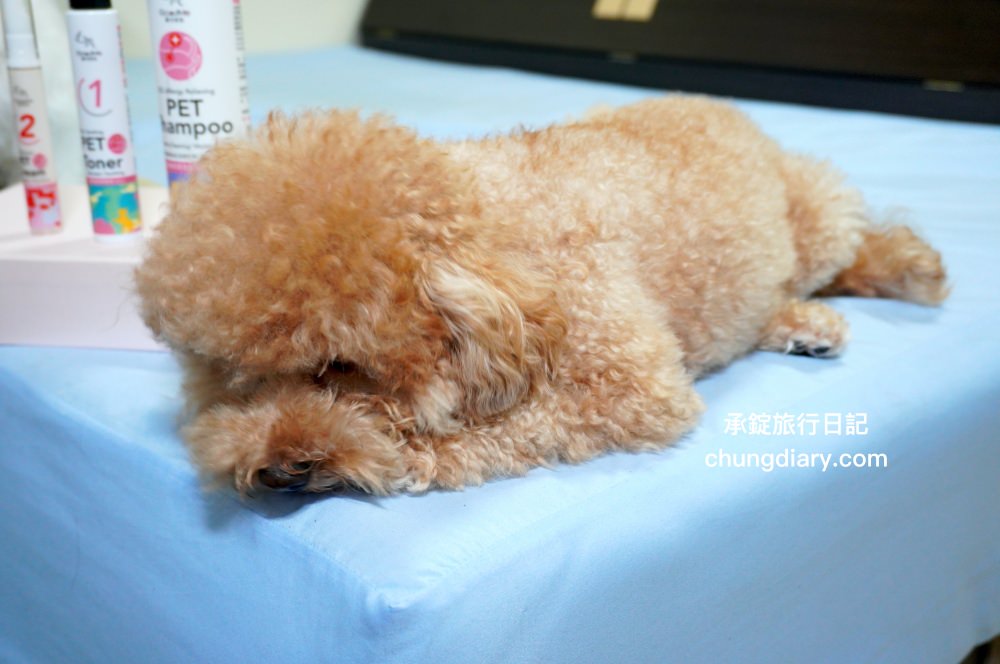 GoodMo 歸毛家族｜寵物肌膚救星｜舒敏保濕洗毛乳+護膚噴液+精萃營養霜，專業寵物肌膚護理，全齡犬貓適用！