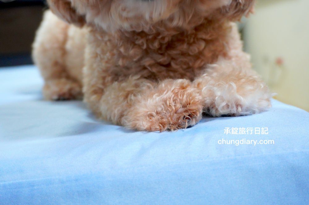 GoodMo 歸毛家族｜寵物肌膚救星｜舒敏保濕洗毛乳+護膚噴液+精萃營養霜，專業寵物肌膚護理，全齡犬貓適用！