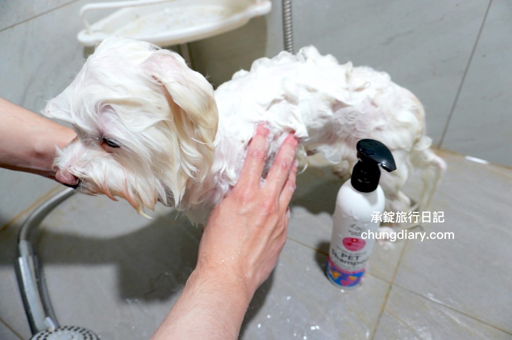 GoodMo 歸毛家族｜寵物肌膚救星｜舒敏保濕洗毛乳+護膚噴液+精萃營養霜，專業寵物肌膚護理，全齡犬貓適用！