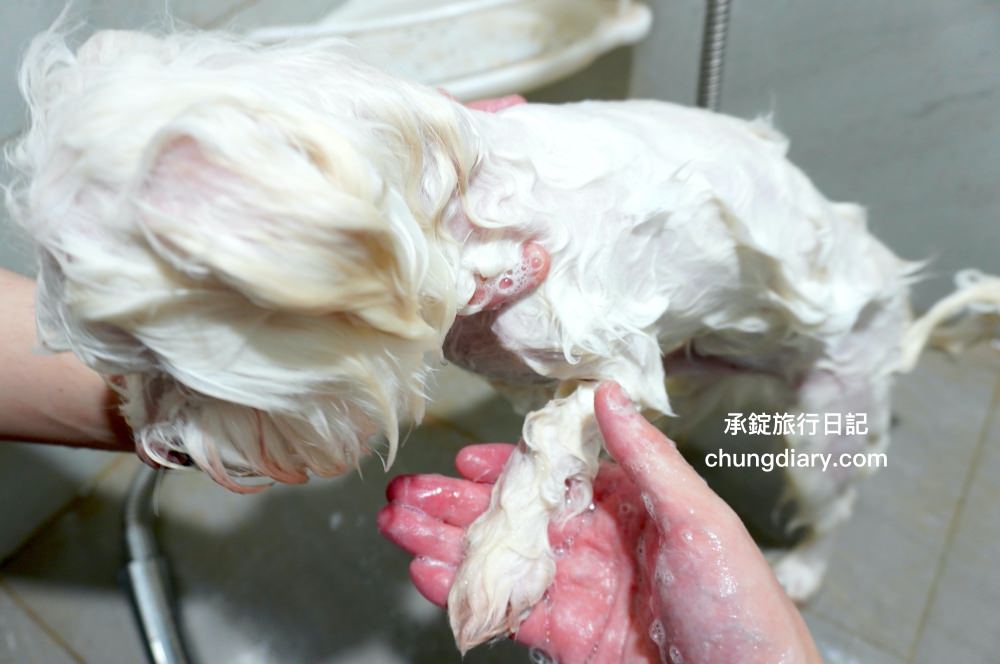 GoodMo 歸毛家族｜舒敏保濕洗毛乳+護膚噴液+精萃營養霜｜全齡犬貓適用！