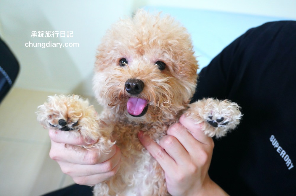 GoodMo 歸毛家族｜舒敏保濕洗毛乳+護膚噴液+精萃營養霜｜全齡犬貓適用！