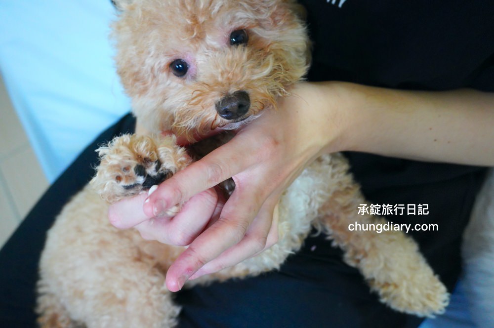 GoodMo 歸毛家族｜舒敏保濕洗毛乳+護膚噴液+精萃營養霜｜全齡犬貓適用！