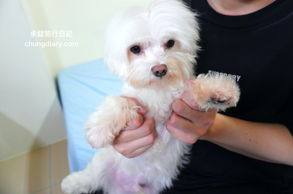 GoodMo 歸毛家族｜舒敏保濕洗毛乳+護膚噴液+精萃營養霜｜全齡犬貓適用！