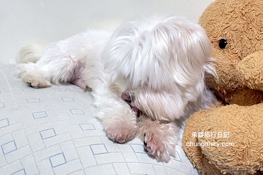 GoodMo 歸毛家族｜寵物肌膚救星｜舒敏保濕洗毛乳+護膚噴液+精萃營養霜，專業寵物肌膚護理，全齡犬貓適用！