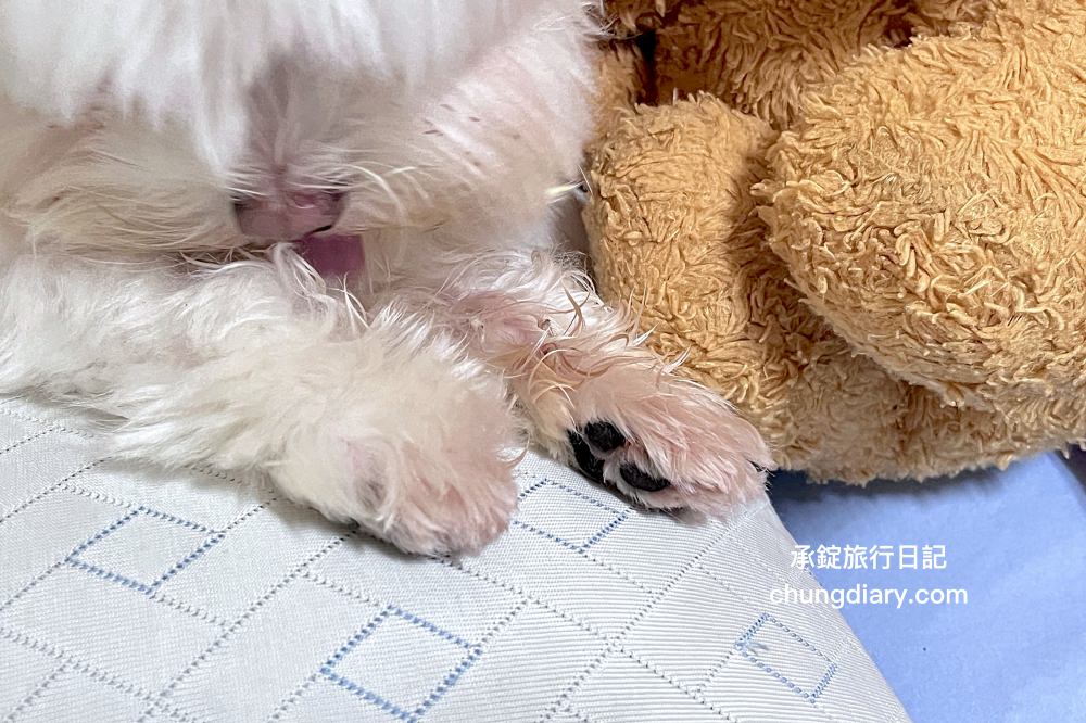 GoodMo 歸毛家族｜寵物肌膚救星｜舒敏保濕洗毛乳+護膚噴液+精萃營養霜，專業寵物肌膚護理，全齡犬貓適用！