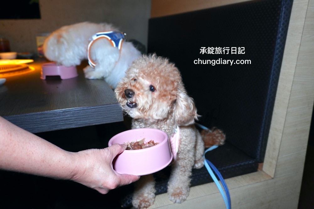 NikuNiku肉肉燒肉朝馬店｜台中寵物友善餐廳，免費提供給狗狗吃的肉肉大餐！帶毛小孩一起來台中燒肉推薦。
