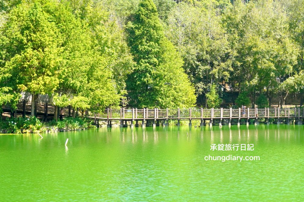 南投IG打卡景點【車埕貯木池】貯木池步道，有著如詩如畫山中湖水的夢幻場景。